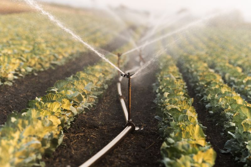 Irrigation Systems