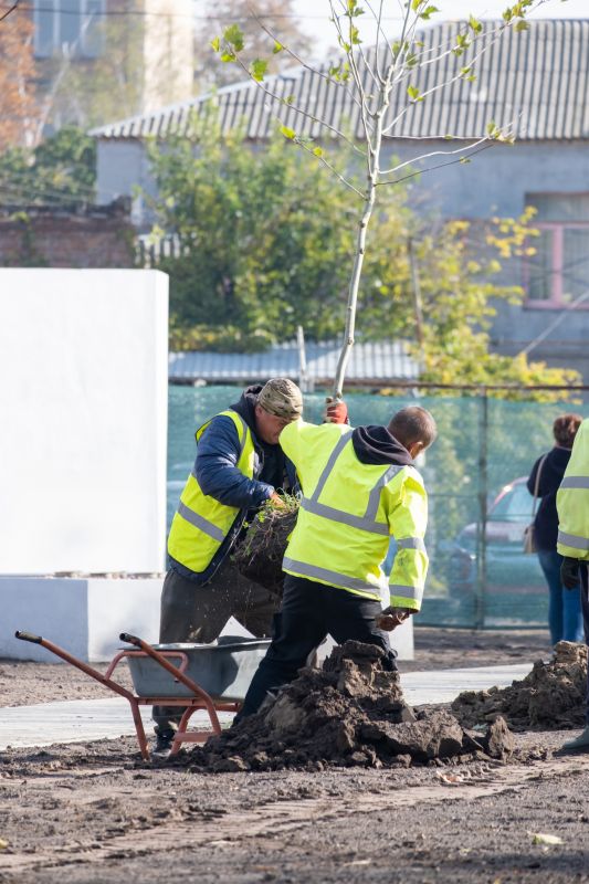 Cherry Blossom Tree Planting