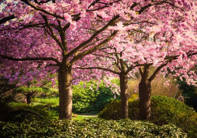 Transform Your Landscape!
